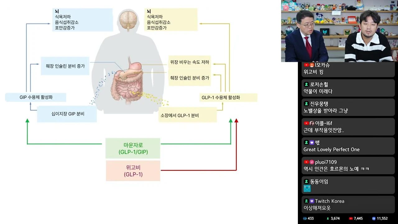 GIP와 GLP-1 신호가 뇌와 위장관에 작용하는 경로